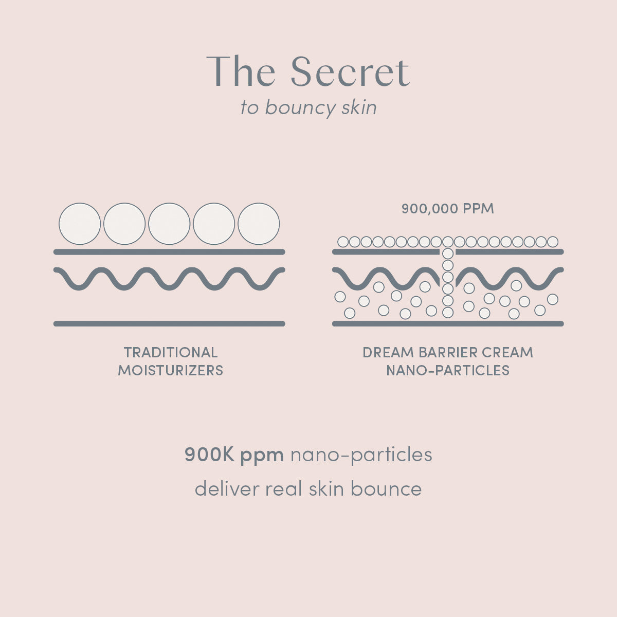 Ravie Beauty Signature Skin™ Dream Barrier Cream 