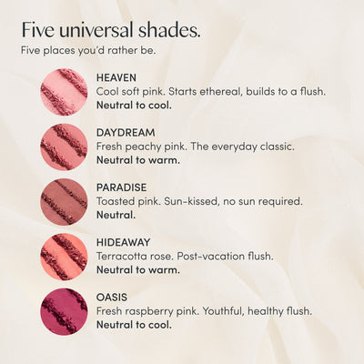 Endless Diffusion™ Baked Blush Bundle